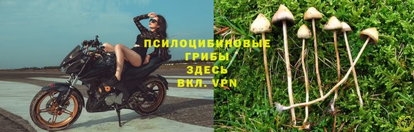дживик Алексеевка
