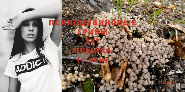 дживик Алексеевка