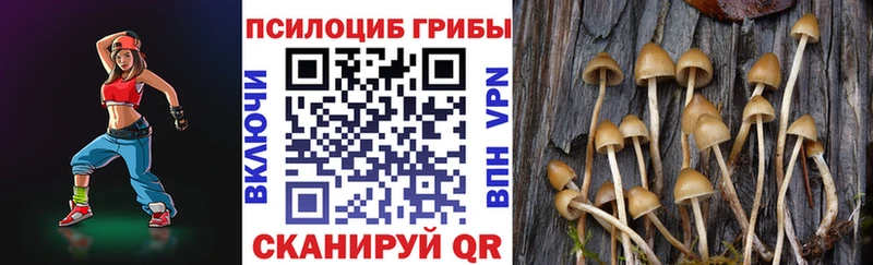 Псилоцибиновые грибы ЛСД Омутнинск