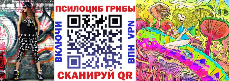 купить закладку Омутнинск Псилоцибиновые грибы прущие грибы