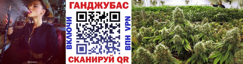 магазин    Омутнинск  Каннабис Bruce Banner 